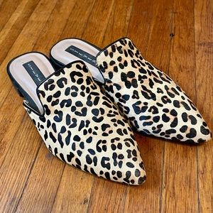Leopard print mules from Steve Madden 🐆